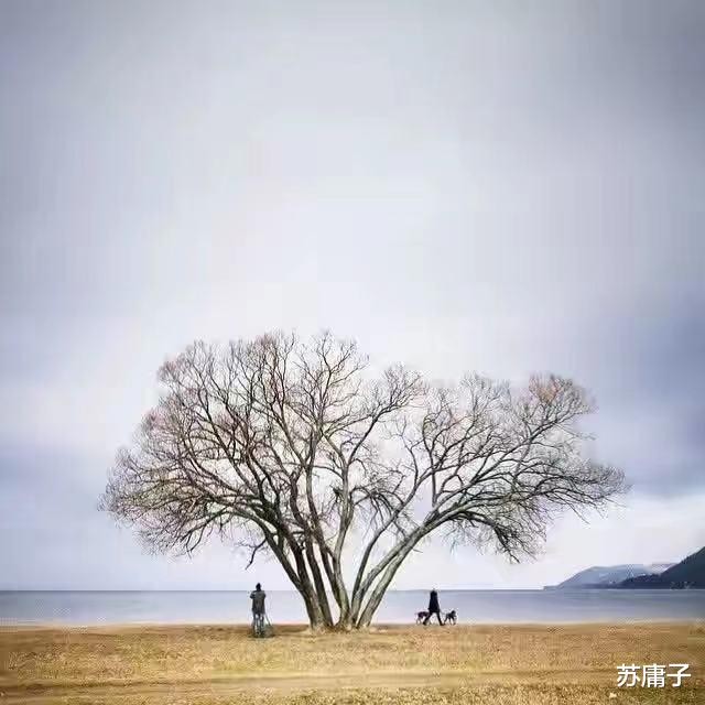 苏庸子|父母走后,不跟兄弟姐妹来往的人,往往因为这3个原因