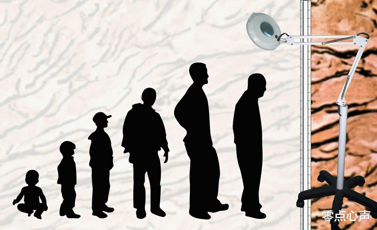 身份证|女子办假身份证，年龄改小11岁被处罚！背后真相，揭开成年人生活最现实的一幕