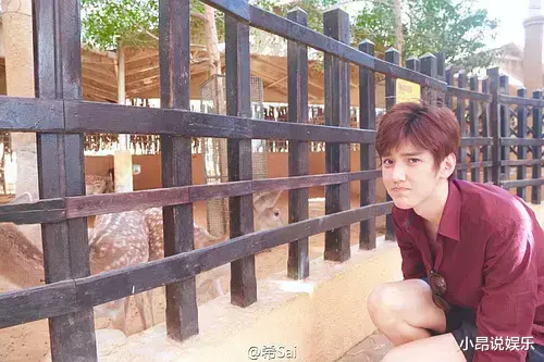 彦希|凭颜值被顶级娱乐公司录取，现无缘男团还做小偷，他一手好牌打烂