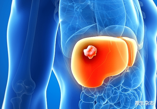 肝脏|解毒“冠军”被发现，肝胆科医生：没事敞开吃，吃一口等于10斤菊花