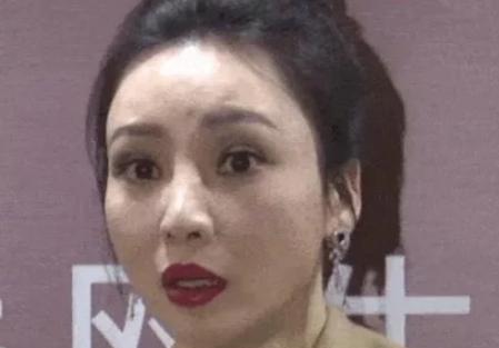 柳岩|柳岩被采访生图曝光，离开了美颜和滤镜后，我们的女神也老了?