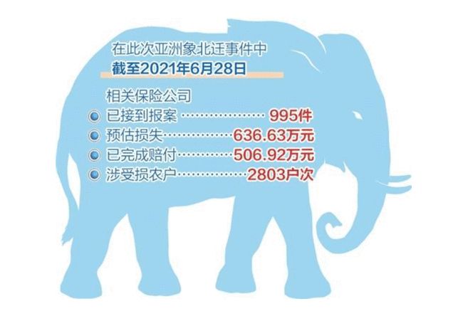 大象 还有人记得云南大象走到哪了吗？