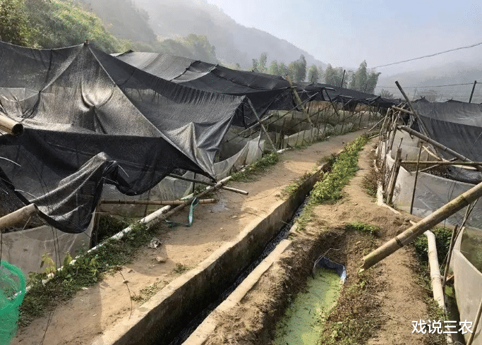 狗狗币 2021年起，农村迎来3项“大严查”！涉及每个家庭，希望没你事！