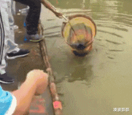 “酒店浴室放着一张床?”有人知道这是干嘛用的吗