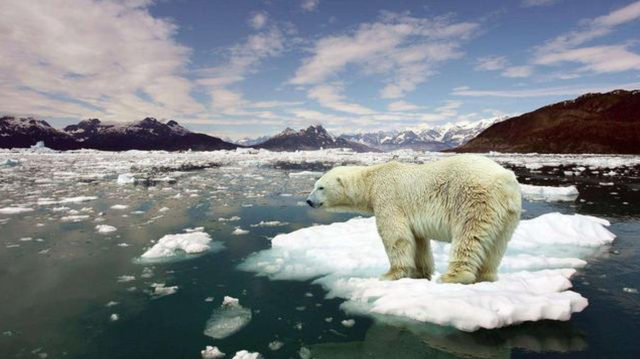全球变暖 地球正在进入第6次物种大灭绝？已有多种迹象，人类要面临什么？
