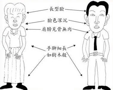 玄风八字运势 五行五面相，何形更相当？