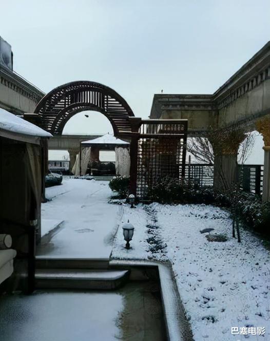 张庭|都知道张庭夫妇有钱，但不知道他们这么有钱