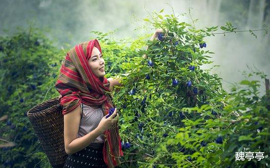 魏亭亭|中年男人动情后的表现:失去理智