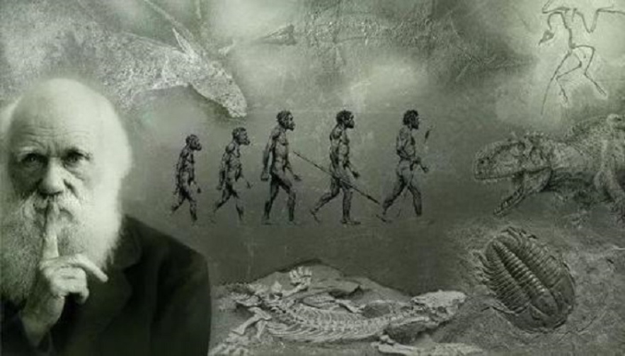 为何有些动物奋不顾身地进行“自杀式”交配?基因在推着它们前进