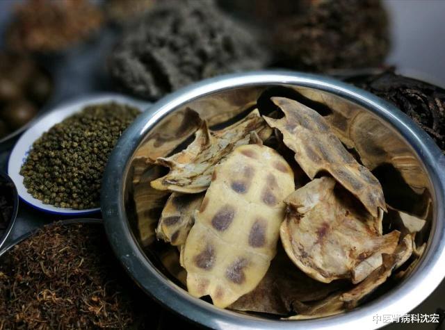 痰湿体质|记忆力下降,丢三落四?中医教你一个方法 益智安神