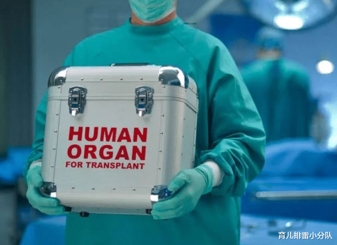 育儿排雷小分队|女婴天生半颗心脏,科学家冒险移植狒狒心脏救人,结局令人惋惜