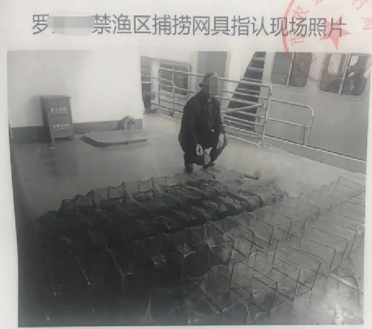 |6旬老人江边捕0.8公斤鱼，被法院判刑，是不是小题大做了？