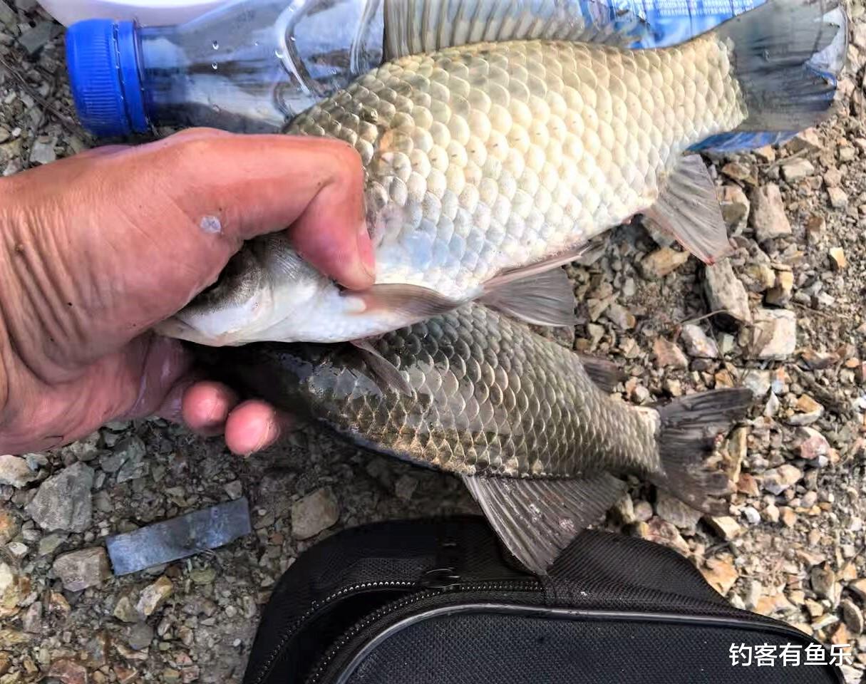 广西|懂得调漂不一定能钓到鱼，有些细节被忽略，你可能永远不知道