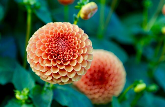 星座彩虹坊|通过半年的相处,才知道,婆婆真的也是妈