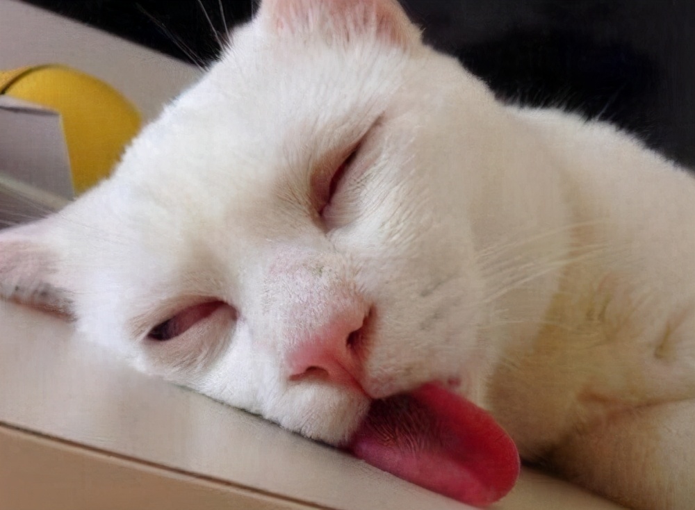 电视剧|你怕死吗？大数据揭示担心猝死的15个职业