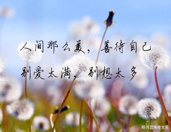 昕月蓝殇美文苑|八月再见,九月你好,愿你岁月不扰,余生常欢笑