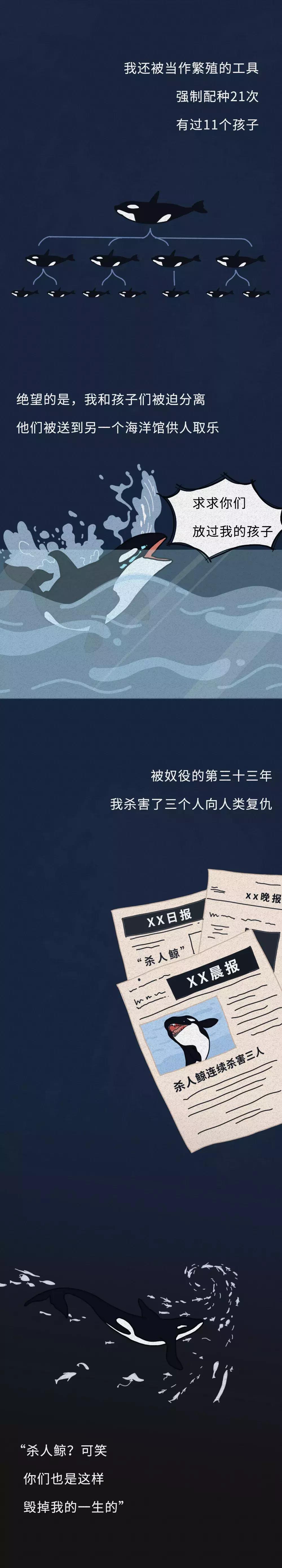  动物是怎样“毁”在人类手中的？看完请拒绝动物表演（漫画）