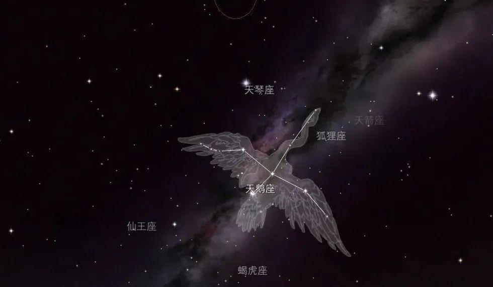 美国食品药品监督管理局 中国接收到一万年前来自天鹅座的信息，科学家终于说出破译的内容