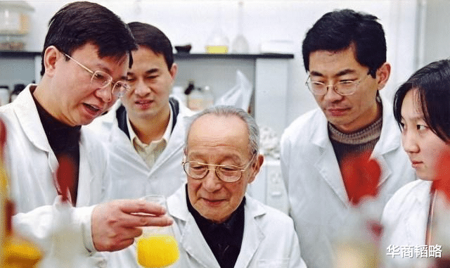 中国稀土|垄断全球稀土市场，中国为何还没能力卡住别人的脖子？