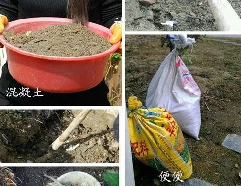 云龙湖|10年前，她开始改造一楼60㎡院子，如今成了小区最美的花园