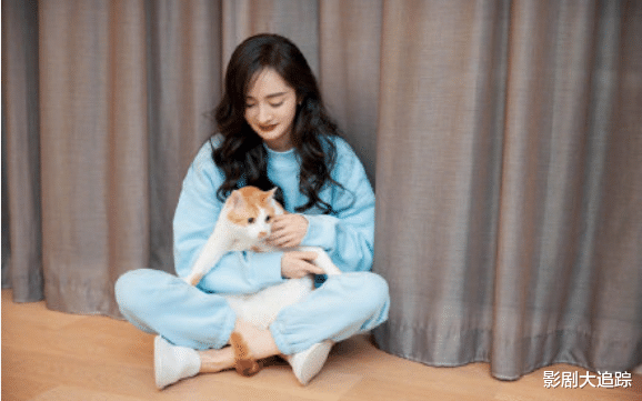 |娱乐圈最火的几位杨家人，有你的偶像吗？