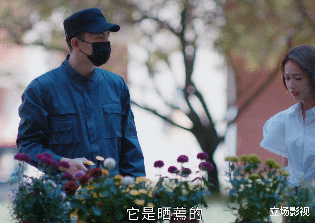 我的砍价女王|林更新《我的砍价女王》首播，有故事没内容，3大尬点劝退观众