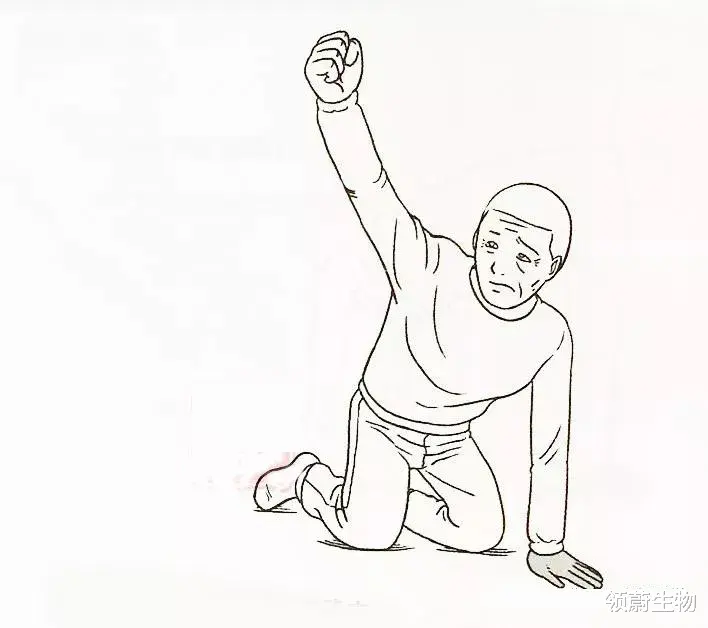 领蔚生物|一文带读懂偏瘫的分期及康复训练方案