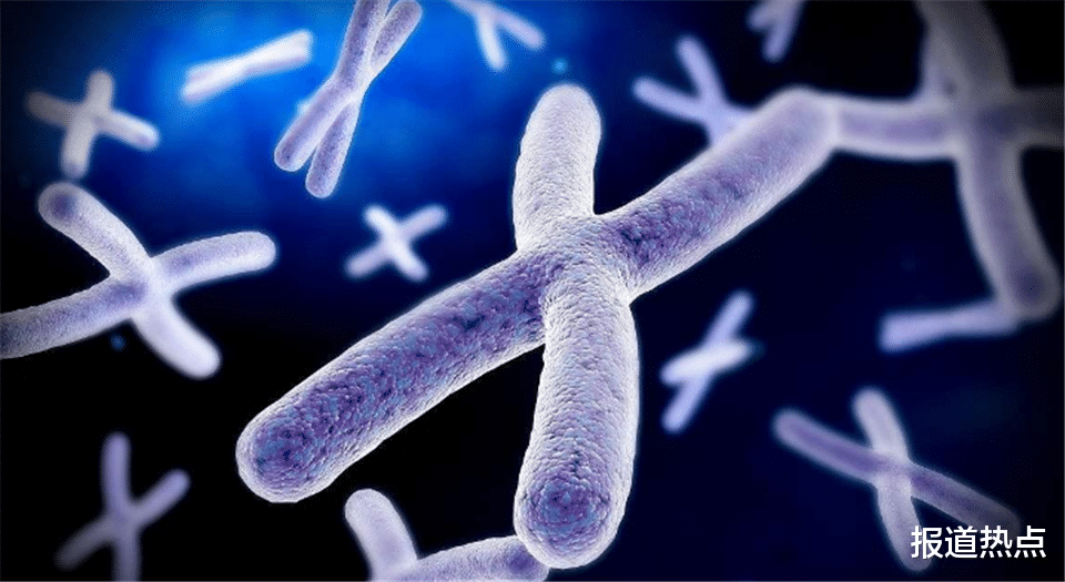 基因 基因决定寿命长短？多项研究结果出炉，推翻人类固有认知