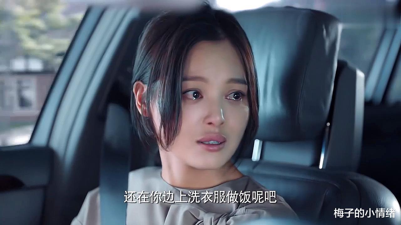 梅子的小情绪|丈夫花50万买车哄我辞职，全职7年一无所有：女人的安全感靠自己