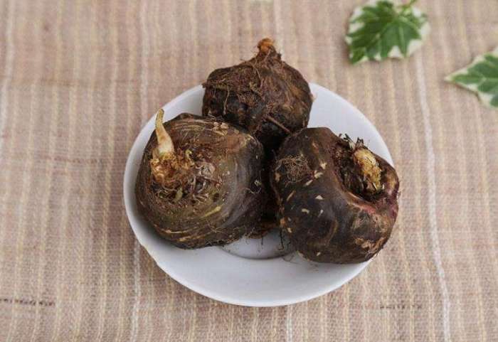 偶金健康|男人的“肾之果”， 外行人吃玛咖，内行人就吃“它”！