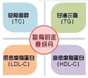 血脂异常|【关注】血脂异常和高血脂不一样! 生活方式是调脂基础