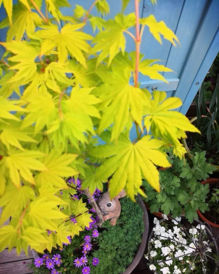 3年前，买了一栋顶楼带70㎡露台的房子，自己打造美美的休闲花园