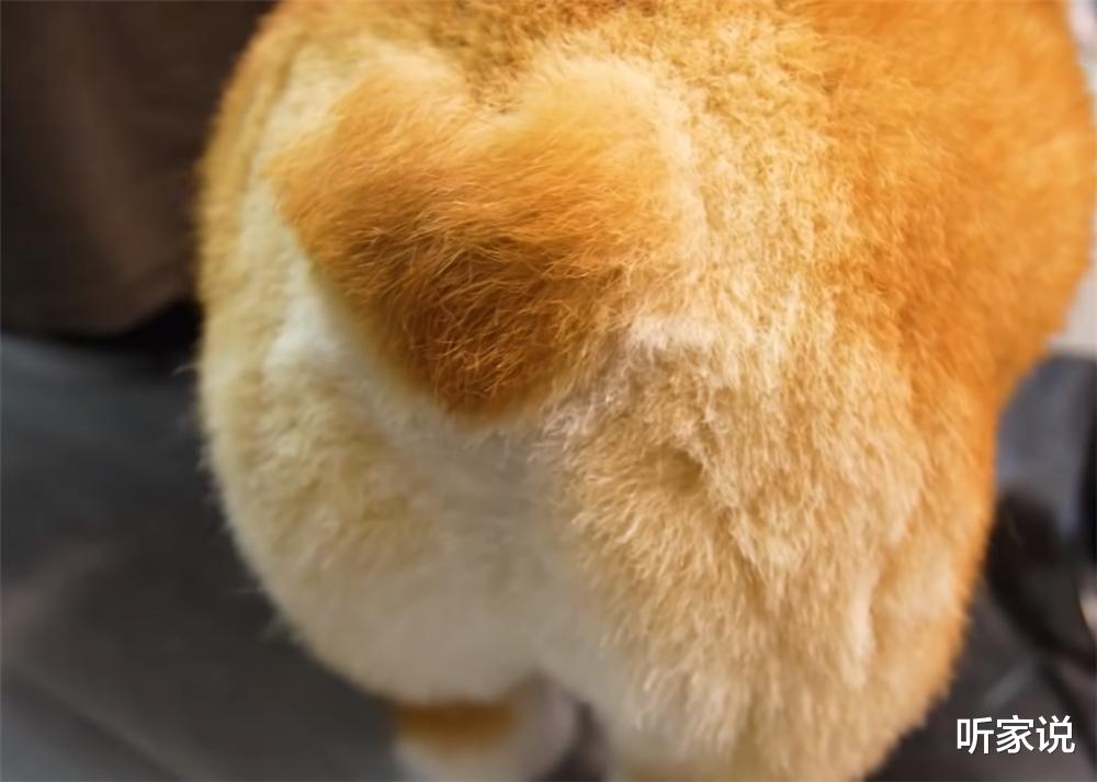 听家说|香港24岁蓝领小哥住19㎡村屋：在蜗居内生活2年，1室1厅实在逼仄