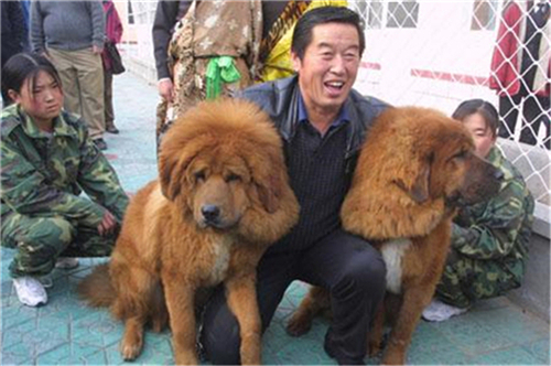 马俊仁|“魔鬼”教练马俊仁：培养多名弟子成世界冠军，背后手段却很肮脏