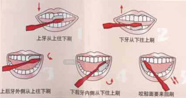 口腔大讲堂|电动牙刷买什么样的好?十大避坑指南教你电动牙刷怎么选