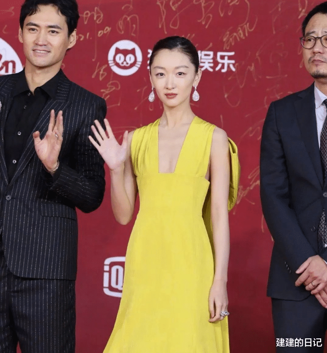 姚晨|再看2021年红毯翻车的15位女星，有人胸口套着“百叶窗”就出来了