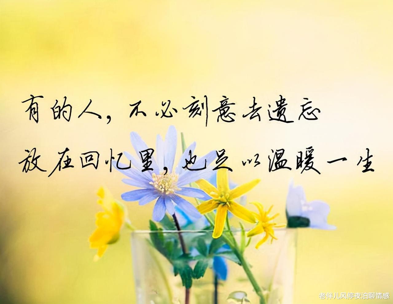 老伴儿风停夜泊聊情感|七夕，致深爱过的人：谢谢你，出现在我的生命里