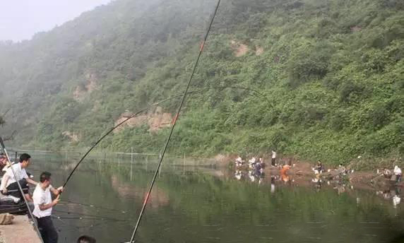 饵料|钓黑坑，掌握这几个钓鱼技巧，想要空军都难