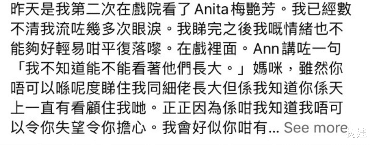梅艳芳|梅艳芳28岁外甥失联21年现身,发文缅怀母亲小姨,称不知梅姨寻亲