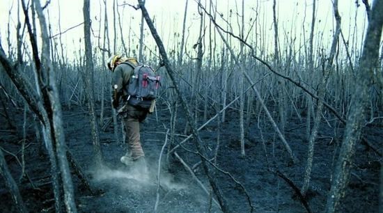 北极大火转入地下,“僵尸火”冰原燃烧了8个月,远古病毒或释放