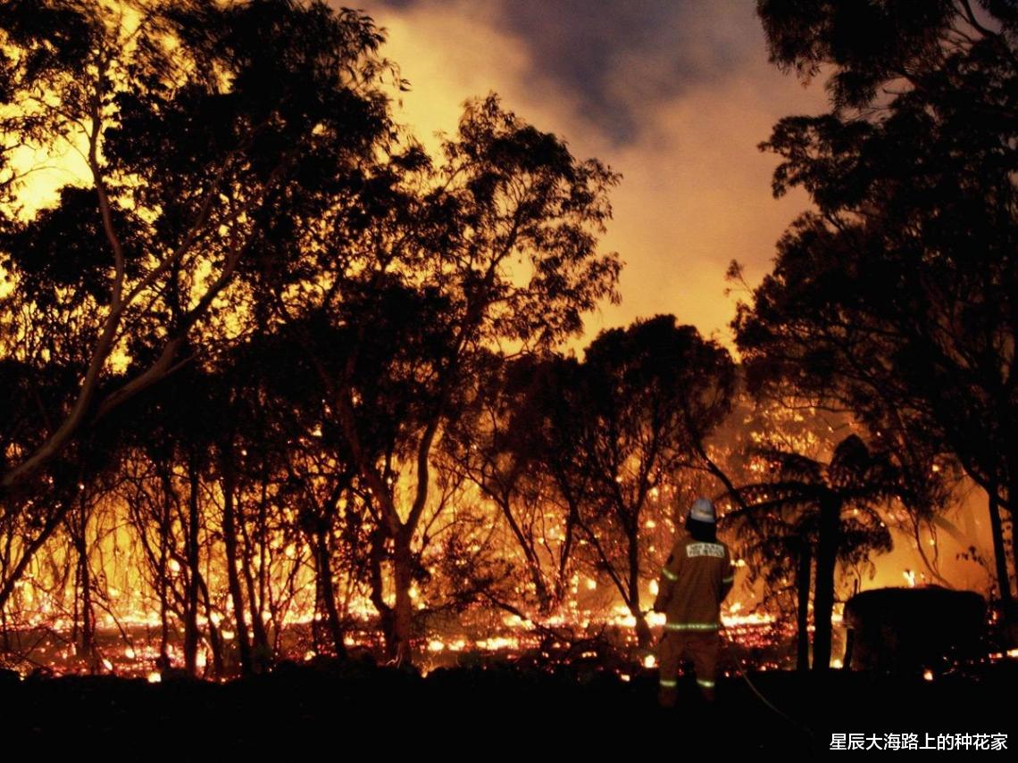 拉尼娜 冷冬标志性事件到来？NOAA确认拉尼娜80%，今年冬天究竟有多冷？