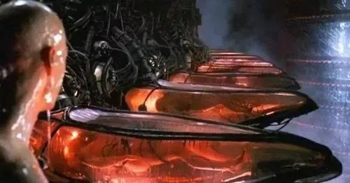 元宇宙居然炒房？房屋防水都施工了，靠谱吗？