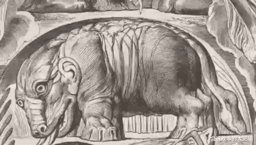 科学家 《迷雾》里压迫力极强的巨兽 它是地狱七君王之一：贝希摩斯