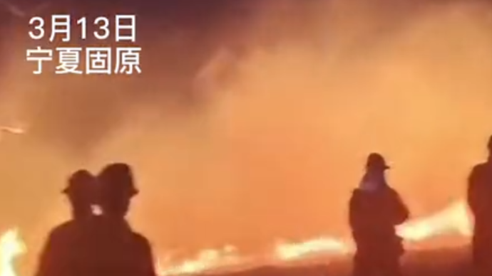 中国网三农 宁夏固原一林场发生火情致2死6伤,系群众上坟烧纸引发火情