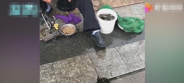 大爷|广西一大爷大桥排水洞钓鱼，纯粹打发时间，网友：羡慕大爷的生活