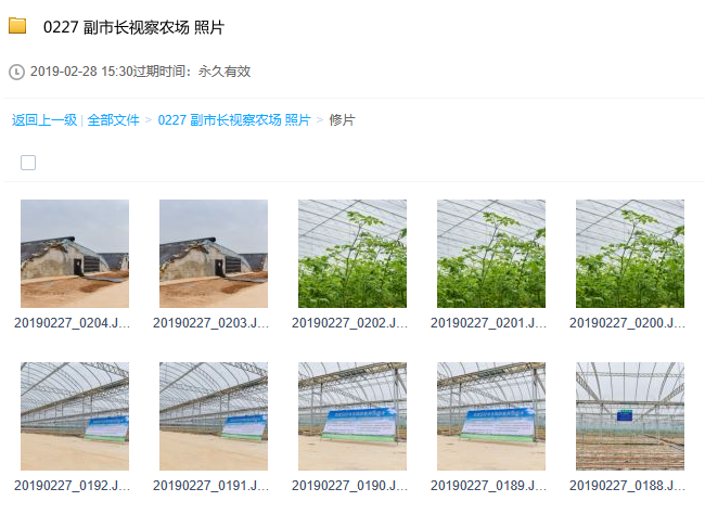 搜索引擎|出事了！你的私密网盘资源，别人一搜就能看到