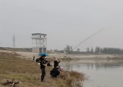 湖北|湖北一河道鳜鱼大爆发，有人半天钓了大半桶，为钓鱼请假一周