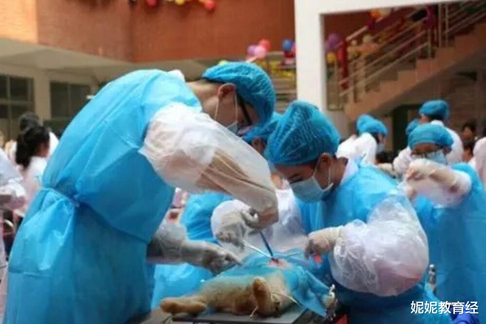 求职|未来10年发展比较好的专业，尤其适合男生报考，家有儿子的可参考