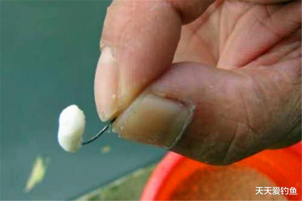 饵料|冬季钓鱼，自制几款“小药”，饵料之中加一点，大板鲫猛咬钩！