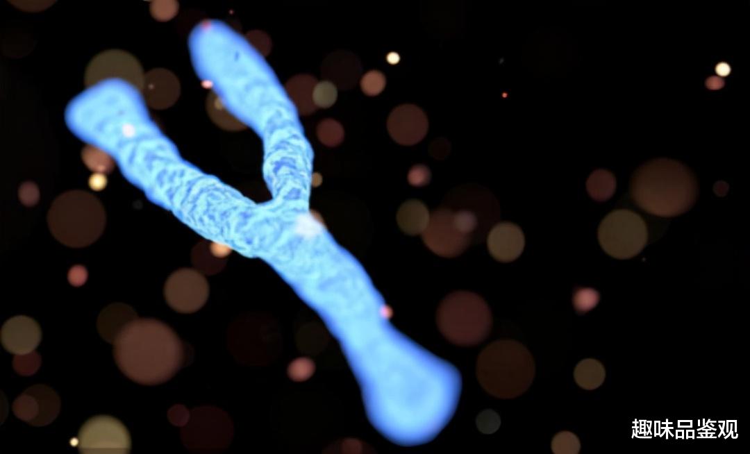 染色体|7000年前发生了什么？男女比例达到1：17，染色体产生了强烈瓶颈